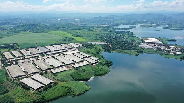 Tháng 12/2020, Trang trại TH xác lập kỷ lục thế giới “Cụm trang trại tập trung ứng dụng công nghệ cao với quy trình sản xuất khép kín quy mô lớn nhất thế giới” do Liên minh Kỷ lục Thế giới chứng nhận và đến nay, kỷ lục thế giới này vẫn do TH nắm giữ