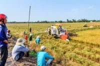 Tháo gỡ khó khăn về vốn cho doanh nghiệp vùng Đồng bằng sông Cửu Long