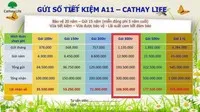 Thông tin quảng cáo có kèm theo logo của Cathay Life