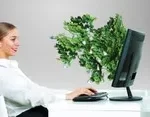 Các doanh nghiệp phát thải lớn sẽ được cấp hạn ngạch phát thải và tham gia thị trường giao dịch các-bon