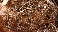 Thị trường đồng bấp bênh trong bối cảnh bùng nổ AI