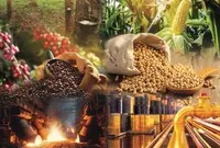 Thị trường hàng hoá phát triển nhanh, nhưng chưa đạt kỳ vọng