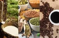 Thị trường hàng hóa thế giới tuần từ 16-23/8: Dầu tăng cao nhất 3 tuần, đậu tương lên cao nhất 2 tháng, cà phê chạm đỉnh gần 3 tháng