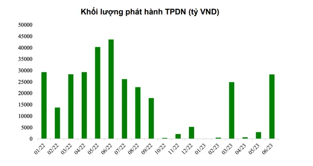 Lượng phát hành trái phiếu doanh nghiệp qua các tháng kể từ đầu năm 2022 tới nay