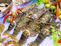 Trung Quốc là thị trường tiêu thụ tôm lớn nhất của Việt Nam năm 2025, với mức chi nhập khẩu lên tới 1,23 tỷ USD.