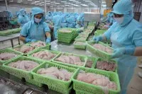 Hàng hóa Việt Nam xuất sang Mỹ chủ yếu cạnh tranh với các nước thứ ba, không cạnh tranh trực tiếp với doanh nghiệp Mỹ trên thị trường nội địa