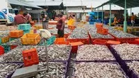 Thuế quan đẩy giá tôm tại Mỹ tăng cao