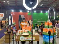 Doanh nghiệp Việt đang đẩy mạnh đầu tư cho nền tảng thương mại điện tử xuyên biên giới.
