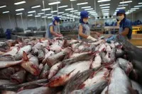 Giá xuất khẩu cá tra sang Mỹ, Trung Quốc, EU có thể tiếp tục cải thiện do nhu cầu tăng lên