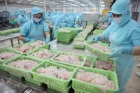 Hiện Việt Nam đứng thứ ba toàn cầu về xuất khẩu thuỷ sản, chiếm hơn 7% thị phần