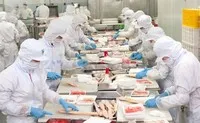 Thuỷ sản Nam Việt (ANV) sắp chi hơn 266 tỷ đồng trả cổ tức cho cổ đông, tỷ lệ 10%