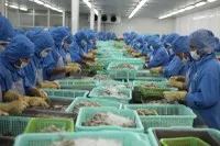 Xuất khẩu 11 tháng năm 2025 tăng 14,6% so với cùng kỳ, đưa nhiều doanh nghiệp thuỷ sản băng băng về đích