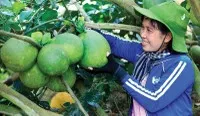 Mọi người dân đều được tiếp cận với dịch vụ tài chính và an sinh xã hội là mục tiêu của tài chính toàn diện