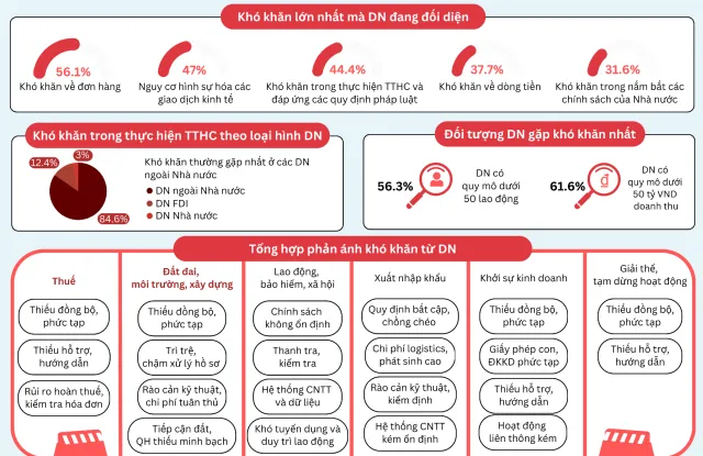 Một số kết quả nổi bật thực trạng cung cấp/thực hiện thủ tục hành chính cho doanh nghiệp năm 2024. Nguồn: Ban IV