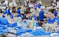 TNG hoàn thành 99% kế hoạch doanh thu năm sau 11 tháng