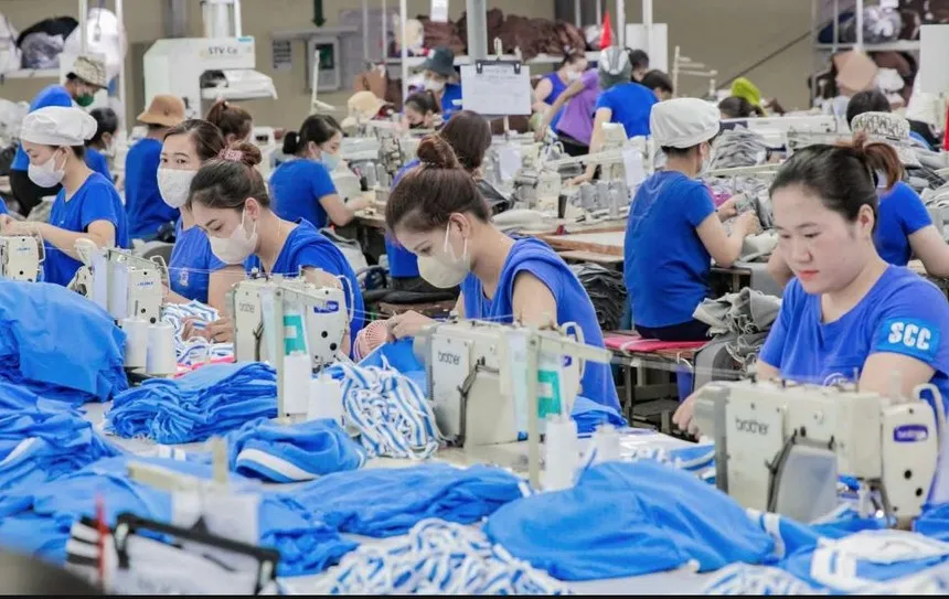 TNG hoàn thành 99% kế hoạch doanh thu năm sau 11 tháng