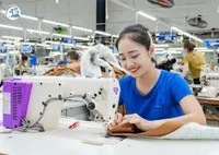 TNG lần thứ tư chia cổ tức 5% bằng tiền mặt