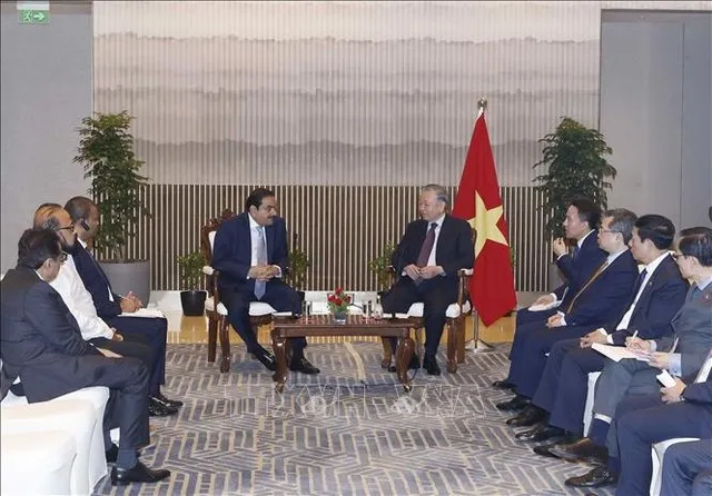 Tổng Bí thư, Chủ tịch nước Tô Lâm tiếp Chủ tịch Tập đoàn Adani Gautam Adani - Ảnh: TTXVN