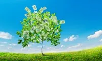 Top 10 cổ phiếu tăng/giảm mạnh nhất tuần: Các cổ phiếu dầu khí khởi sắc