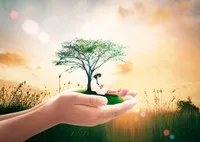 Top 10 cổ phiếu tăng/giảm mạnh nhất tuần: Cổ phiếu bất động sản có dấu hiệu khởi sắc