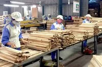 Một số doanh nghiệp đã chủ động chuyển hướng thị trường, tập trung vào tiêu thụ nội địa hoặc mở rộng xuất khẩu sang các khu vực khác như châu Âu, Nhật Bản, Úc, Trung Đông, Canada.