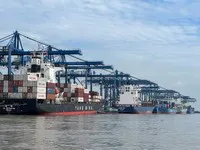 Doanh nghiệp có thể nộp hồ sơ tự công bố tại Sở An toàn thực phẩm TP.HCM và được giải quyết thật nhanh để thông quan. Ảnh: Trọng Tín.