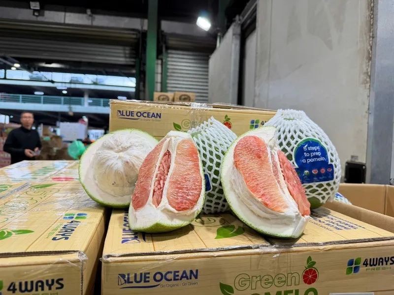 Bưởi Việt Nam lần đầu xuất khẩu sang Úc.