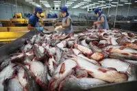 Thủy sản có cơ hội gia tăng xuất khẩu trong năm 2025