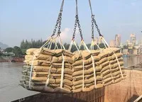 Xuất khẩu xi măng 2026 vẫn có khả năng duy trì "phong độ" của 2025.