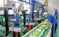 Trung An (TAR) muốn vay 190 tỷ đồng để mua gạo cho Kho dự trữ quốc gia