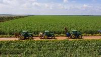 TTC Sugar (SBT) huy động 700 tỷ đồng thông qua phát hành trái phiếu ra công chúng