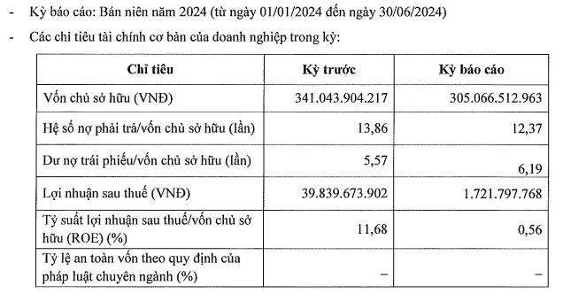 Thông tin tài chính nửa đầu năm 2024 của Tư vấn Đầu tư Nguyên Bình
