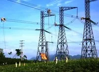 Tư vấn Xây dựng điện 2 (TV2) lãi giảm hơn 40% trong nửa đầu 2025