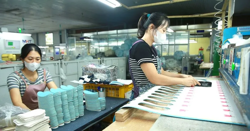 Doanh nghiệp có tổng doanh thu năm không quá 3 tỷ đồng được áp thuế thu nhập doanh nghiệp 15%, tổng doanh thu năm từ trên 3 tỷ đồng đến 50 tỷ đồng là 17%. Ảnh: Tiên Giang