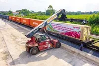 Một đoàn tàu liên vận quốc tế chở nông sản xuất khẩu của Tổng công ty Đường sắt Việt Nam