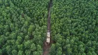 Việt Nam sở hữu nhiều tiềm năng về tín chỉ carbon, đặc biệt là lợi thế đến từ ngành nông nghiệp.