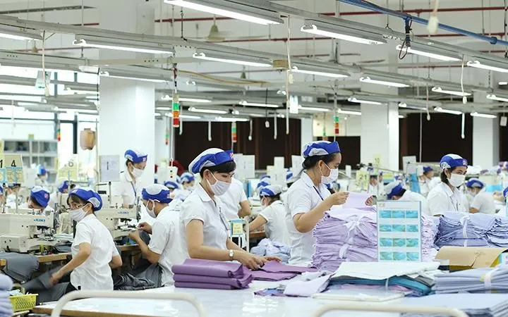 Vinatex (VGT) đạt 598 tỷ đồng lợi nhuận nửa đầu 2025, tăng hơn gấp đôi cùng kỳ 