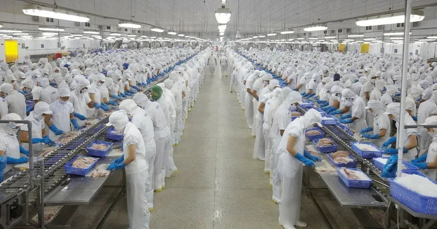 Vĩnh Hoàn (VHC) bị nhắc nhở vì chậm công bố báo cáo tài chính quý IV/2025