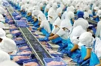 Vĩnh Hoàn (VHC) đã nộp hồ sơ mua lại 15 triệu cổ phiếu giảm vốn điều lệ