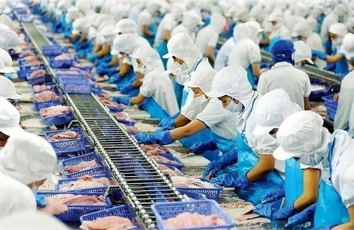 Vĩnh Hoàn (VHC) đã nộp hồ sơ mua lại 15 triệu cổ phiếu giảm vốn điều lệ