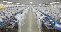 Vĩnh Hoàn (VHC) gia hạn thời gian tổ chức Đại hội đồng cổ đông năm 2026