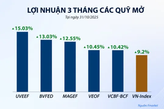 Nhiều quỹ cổ phiếu có hiệu suất tốt hơn so với VN-Index