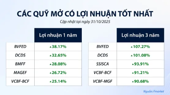 Quỹ mở vẫn duy trì lợi nhuận tốt trong dài hạn. Ảnh: Fmarket