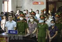 Các bị cáo nghe tòa tuyên án. (Ảnh: Xuân Tư/TTXVN)