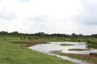 Một góc dự án Khu dân cư Bắc Phước Kiển tại huyện Nhà Bè, TP.HCM.