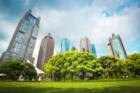 Xu hướng xanh và tư duy chuyển đổi bền vững
