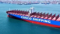 Xuất khẩu của Mỹ giảm mạnh do tác động của thuế quan