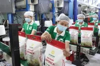 Giá gạo sau khi lập đỉnh đã điều chỉnh mạnh trong thời gian gần đây