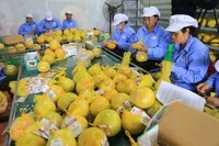 Xuất khẩu nông sản về đích ngoạn mục