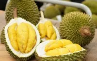 Xuất khẩu rau quả 11 tháng năm 2025 vượt cả năm ngoái khoảng 640 triệu USD.